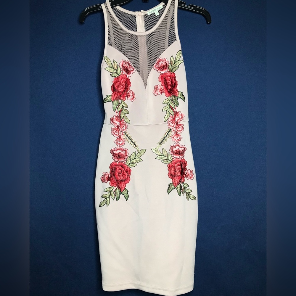 Charlotte Russe pink Rose dress